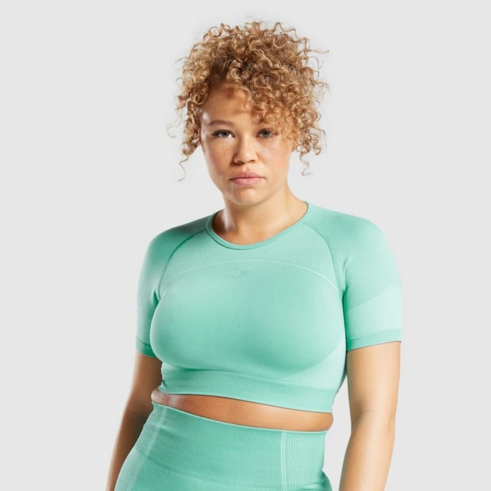 Gymshark Ultra Seamless Crop Top